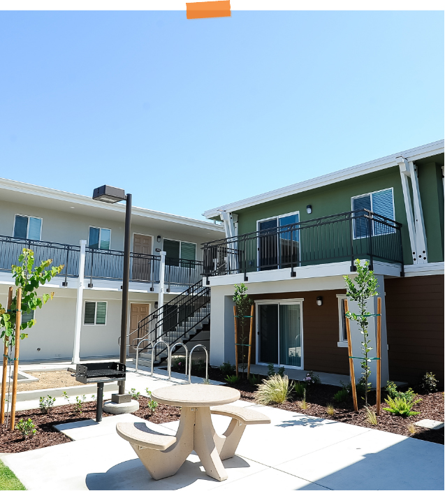 Real Estate Developer